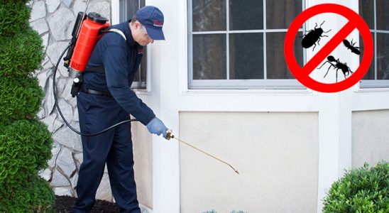 Sakarya Böcek ve Haşere İlaçlama böcek ilaçlama ve haşere kontrolü — ilaclama-tr.com